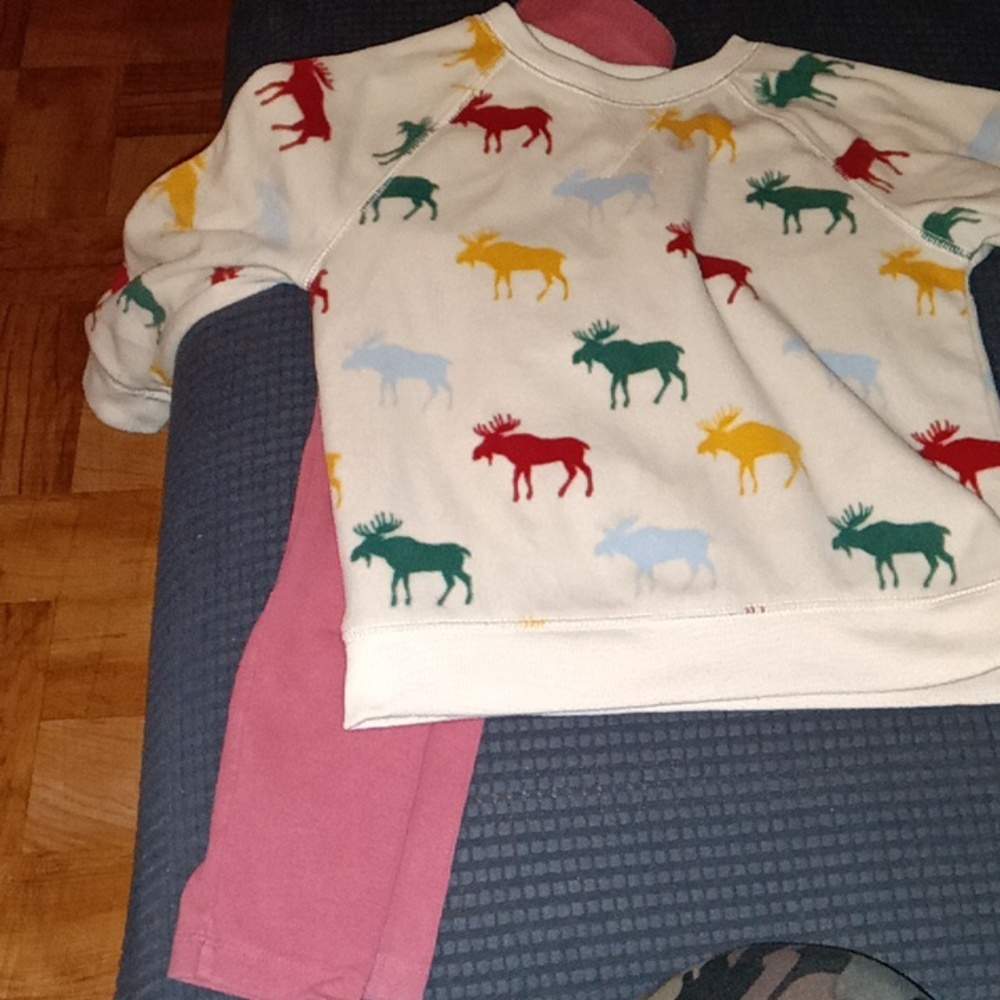 Sweat shirt with salmon pants